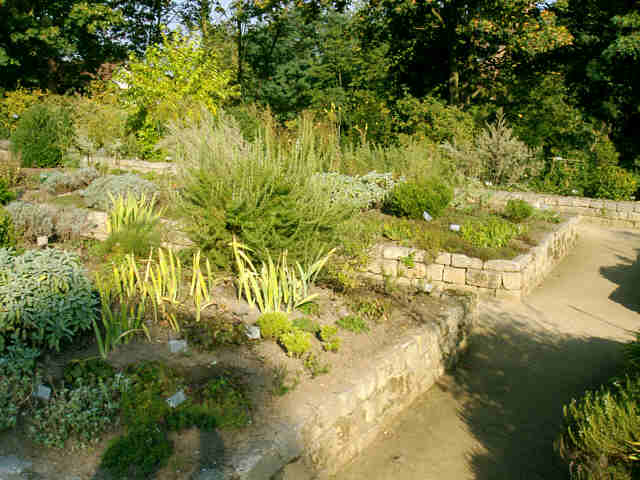 Kräutergarten im Klosters 