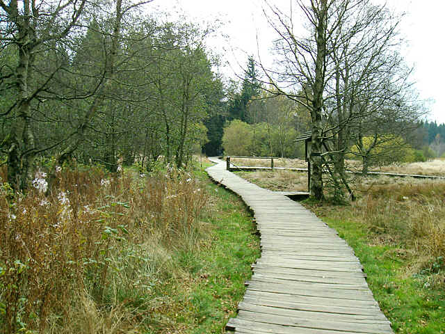 Holzstege sichern den Weg im Moor.