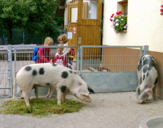 Der Bauernhof im Wormser Tierpark