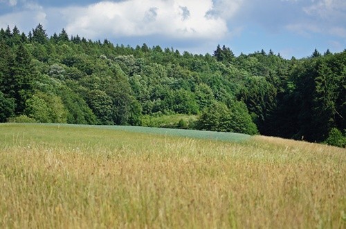 Wiesen und Felder auf der Höhe