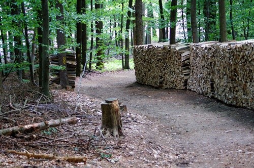 Schöne Waldwege auf der Guldenklinger Höhe