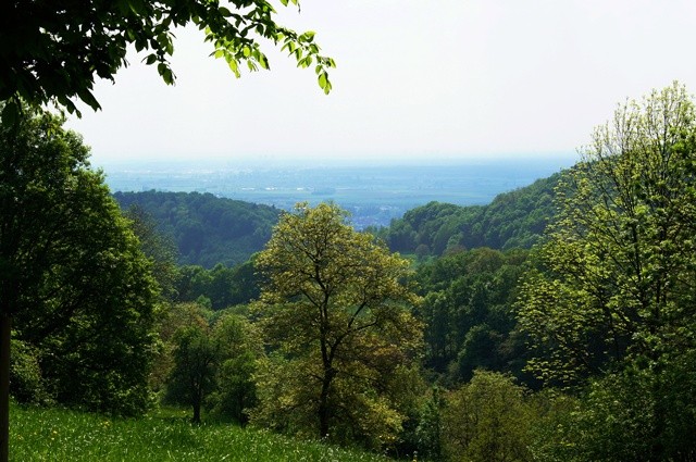 Talblick von der Juhöhe ins Flachland