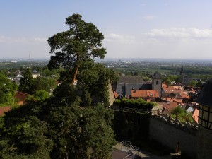 Blick über die Altstadt von Kronberg