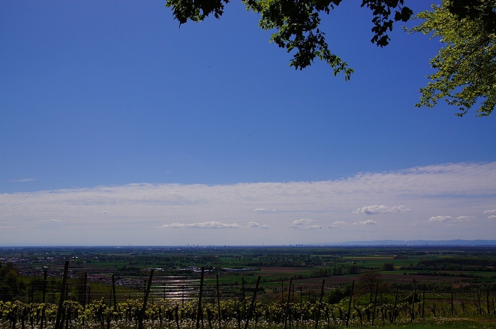 Panoramablick von der Bergstrasse Richtung Mannheim